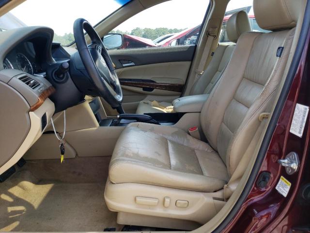 1HGCP36819A038837 - 2009 HONDA ACCORD EXL BURGUNDY photo 7