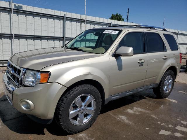 2010 FORD ESCAPE LIMITED, null