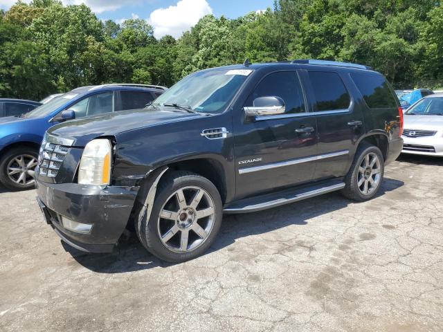 2010 CADILLAC ESCALADE LUXURY, null