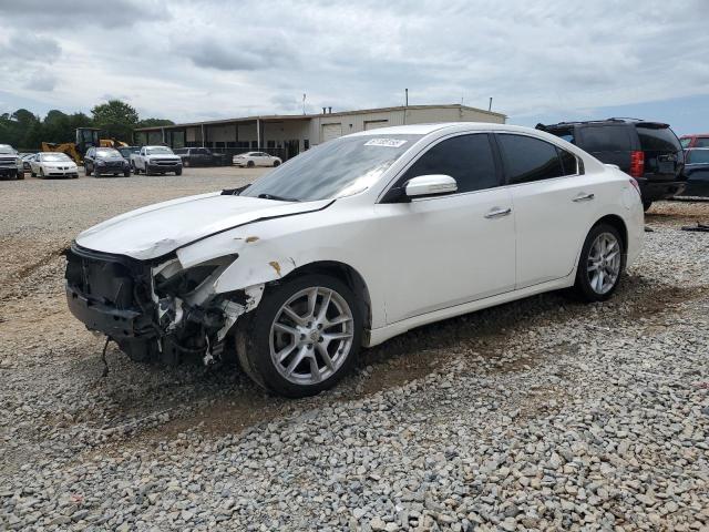 2010 NISSAN MAXIMA S, null
