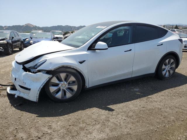 2023 TESLA MODEL Y, null