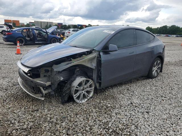 2023 TESLA MODEL Y, null