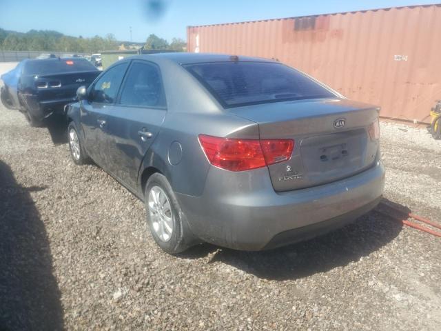 KNAFU4A22C5604322 - 2012 KIA FORTE EX GRAY photo 3