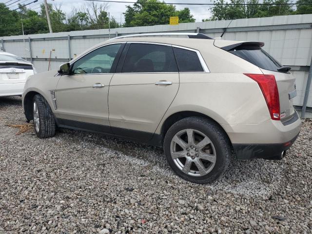 3GYFNBEY3AS581293 - 2010 CADILLAC SRX PERFORMANCE COLLECTION Золотой фото 2