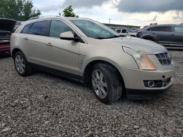 3GYFNBEY3AS581293 - 2010 CADILLAC SRX PERFORMANCE COLLECTION Золотой фото 4