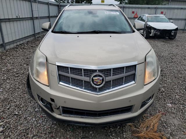 3GYFNBEY3AS581293 - 2010 CADILLAC SRX PERFORMANCE COLLECTION Золотой фото 5