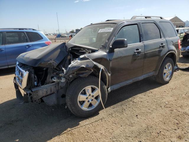 2011 FORD ESCAPE XLT, 