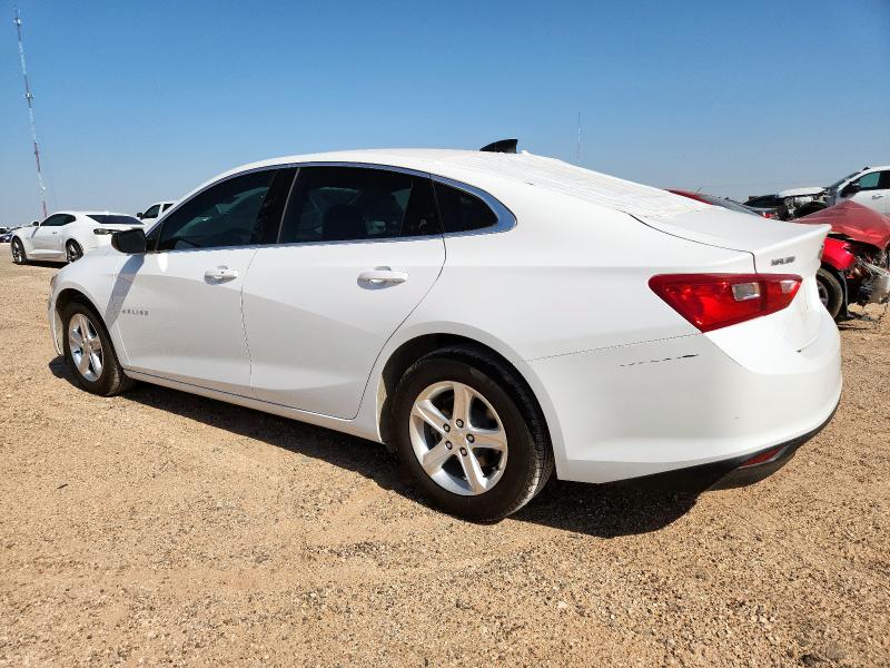 1G1ZB5ST1NF216121 - 2022 CHEVROLET MALIBU LS Weiß Foto 2