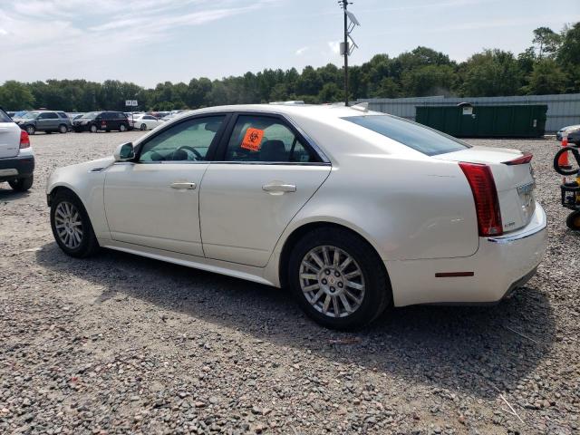 1G6DA5EG9A0127903 - 2010 CADILLAC CTS WHITE photo 2