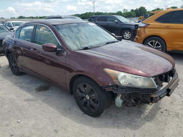 1HGCP2F73AA174411 - 2010 HONDA ACCORD EX BURGUNDY photo 4