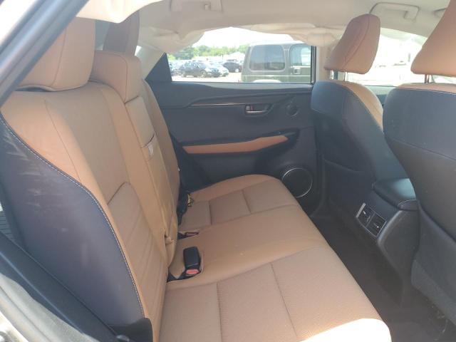 JTJBARBZ3K2212949 - 2019 LEXUS NX 300 BASE ნაცრისფერი ფოტო 11