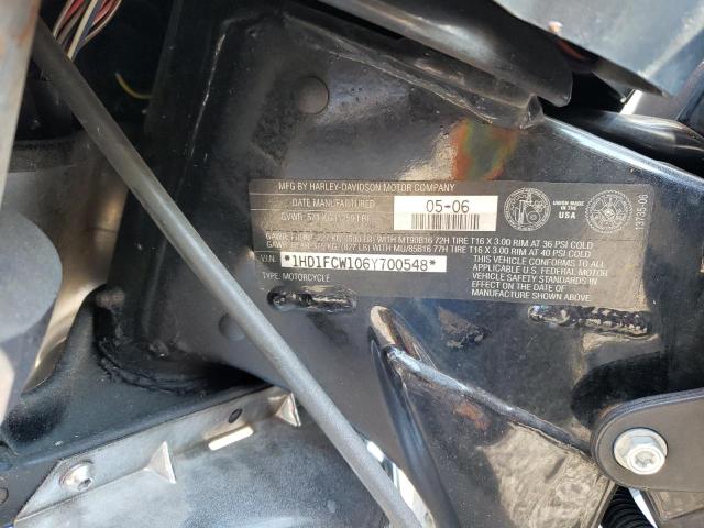 1HD1FCW106Y700548 - 2006 HARLEY-DAVIDSON FLHTCUI 蓝色 照片 10
