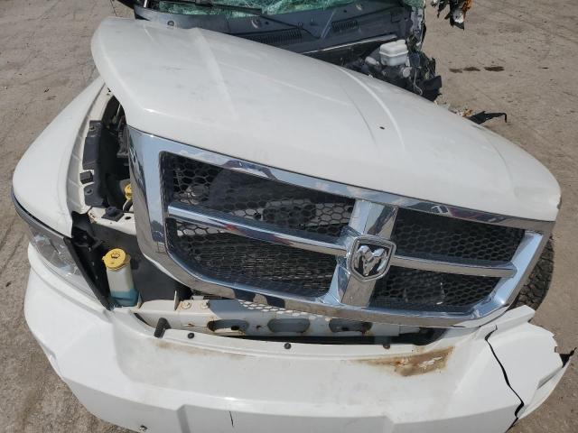 1D7RE2BK9BS586553 - 2011 DODGE DAKOTA ST WHITE photo 11