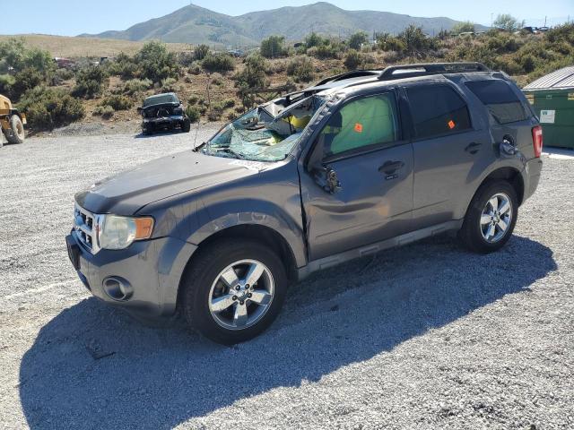 2010 FORD ESCAPE XLT, null