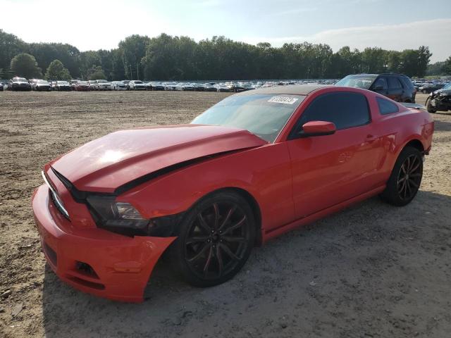 1ZVBP8AM0E5223781 - 2014 FORD MUSTANG RED photo 1