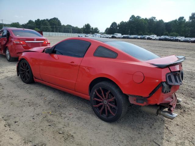 1ZVBP8AM0E5223781 - 2014 FORD MUSTANG RED photo 2