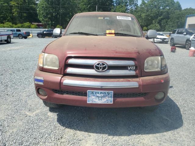 5TBRT34124S443829 - 2004 TOYOTA TUNDRA ACCESS CAB SR5 BURGUNDY photo 5