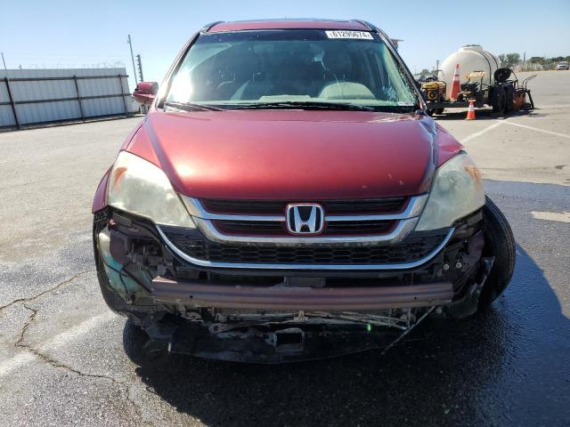 5J6RE3H73BL032559 - 2011 HONDA CR-V EXL BURGUNDY photo 5