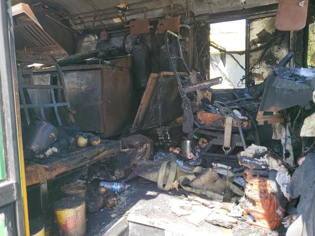 4DRBUAAN08B666610 - 2008 IC CORPORATION 3000 Yaşıl foto 5