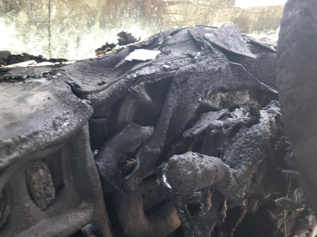 4DRBUAAN08B666610 - 2008 IC CORPORATION 3000 Yaşıl foto 8