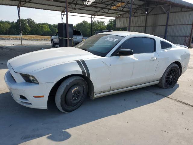 1ZVBP8AM7E5325420 - 2014 FORD MUSTANG WHITE photo 1