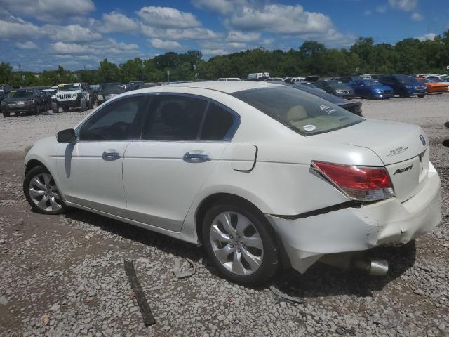 5KBCP3F84AB011630 - 2010 HONDA ACCORD EXL WHITE photo 2