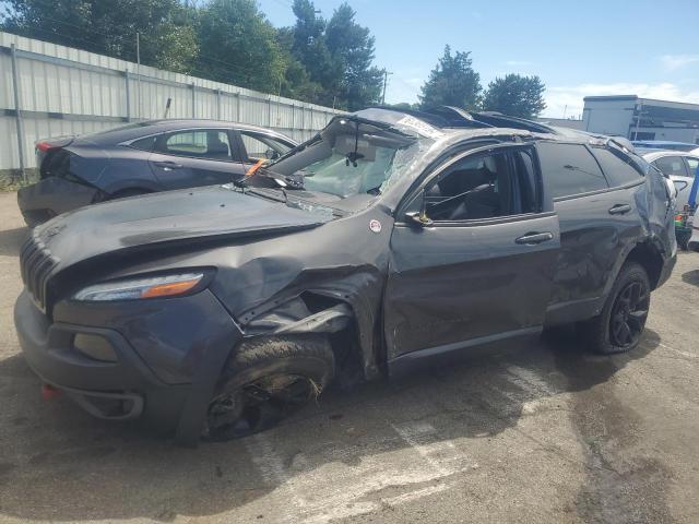 1C4PJMBX5JD507239 - 2018 JEEP CHEROKEE TRAILHAWK GRAY photo 1