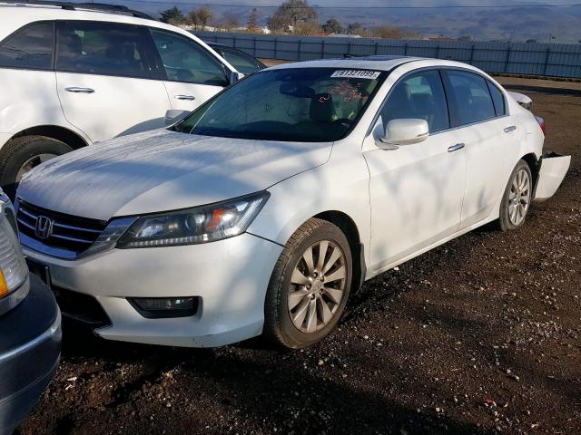 1HGCR2F83EA084832 - 2014 HONDA ACCORD EXL  photo 2