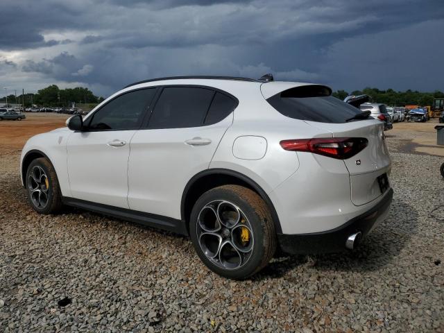 ZASPAKBN9K7C42755 - 2019 ALFA ROMEO STELVIO TI WHITE photo 2