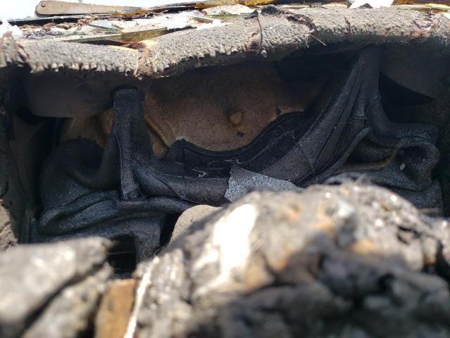 JN8HD17Y7SW077011 - 1995 NISSAN PATHFINDER LE 烧焦的 照片 9