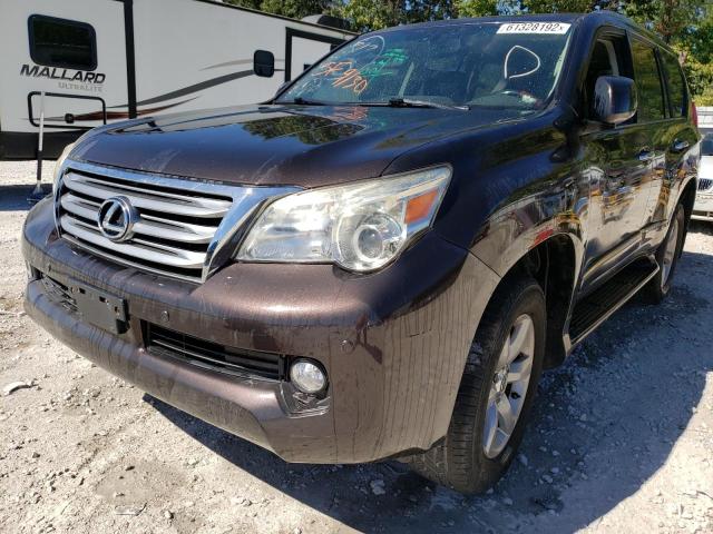 JTJBM7FX1C5036729 - 2012 LEXUS GX 460 BURGUNDY photo 2