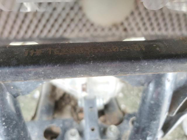 1HFTE260364502431 - 2006 HONDA TRX500 FA CREAM photo 12