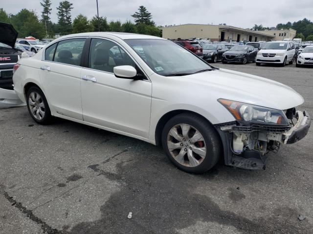 1HGCP36878A007039 - 2008 HONDA ACCORD EXL WHITE photo 4