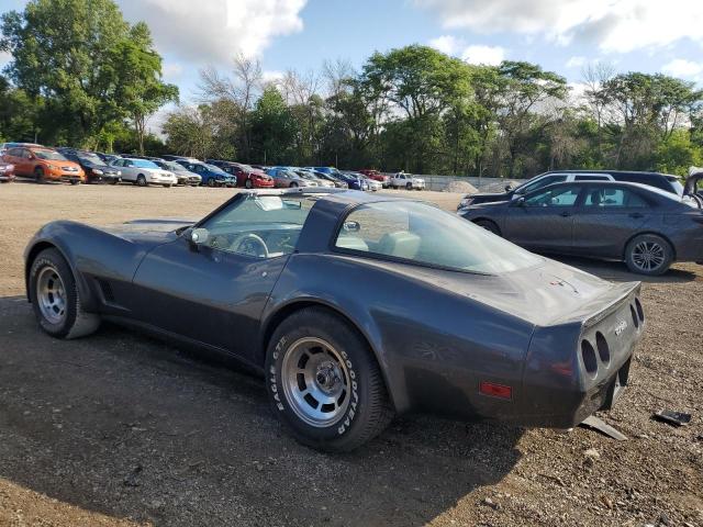 1G1AY8765BS429107 - 1981 CHEVROLET CORVETTE GRAY photo 2