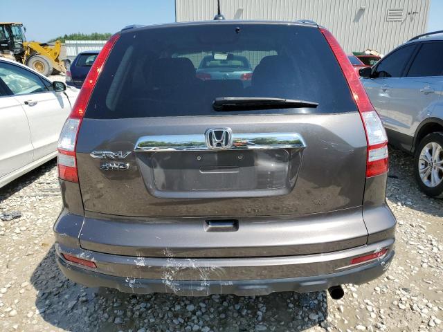 5J6RE4H78AL055095 - 2010 HONDA CR-V EXL GRAY photo 6