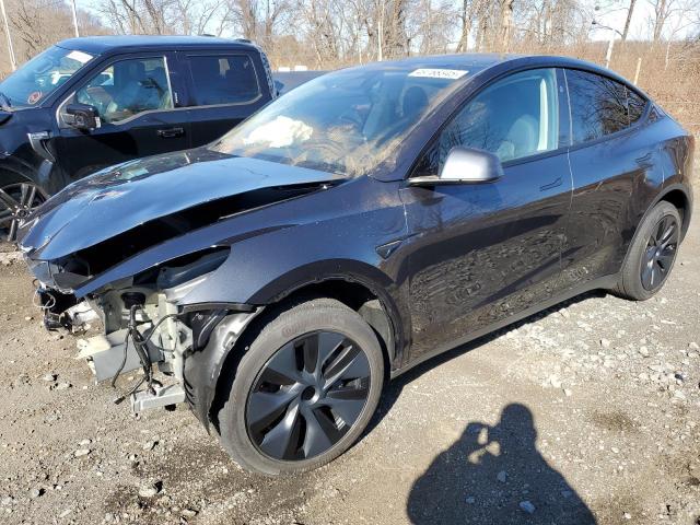 2025 TESLA MODEL Y, null