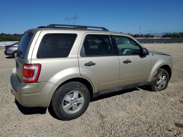 1FMCU0DG6AKC24612 - 2010 FORD ESCAPE XLT TAN photo 3