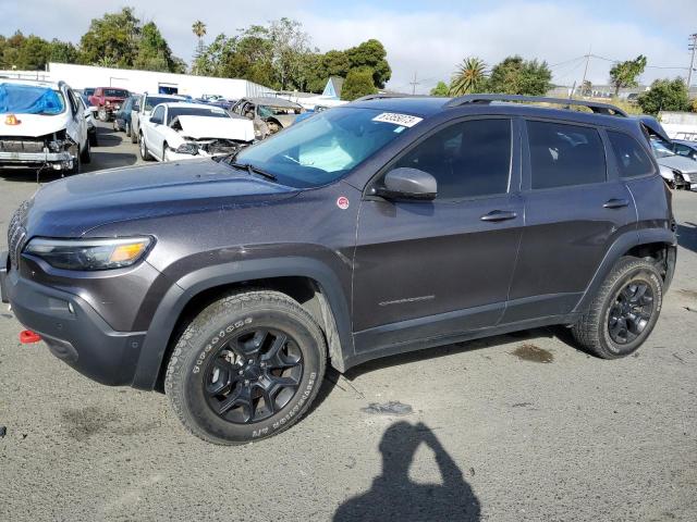 1C4PJMBX8KD330848 - 2019 JEEP CHEROKEE TRAILHAWK GRAY photo 1
