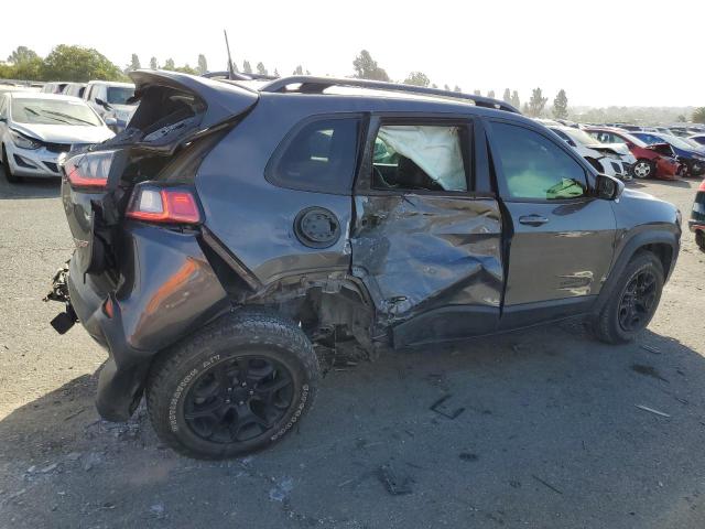 1C4PJMBX8KD330848 - 2019 JEEP CHEROKEE TRAILHAWK GRAY photo 3