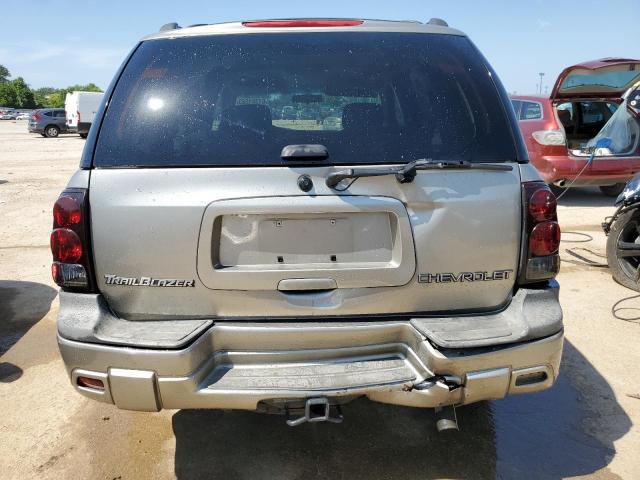 1GNDS13S322492388 - 2002 CHEVROLET TRAILBLAZE BEIGE photo 6