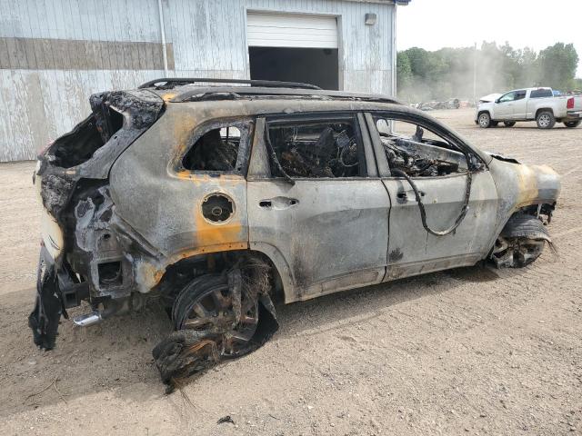 1C4PJMBSXFW733339 - 2015 JEEP CHEROKEE TRAILHAWK თეთრი ფოტო 3