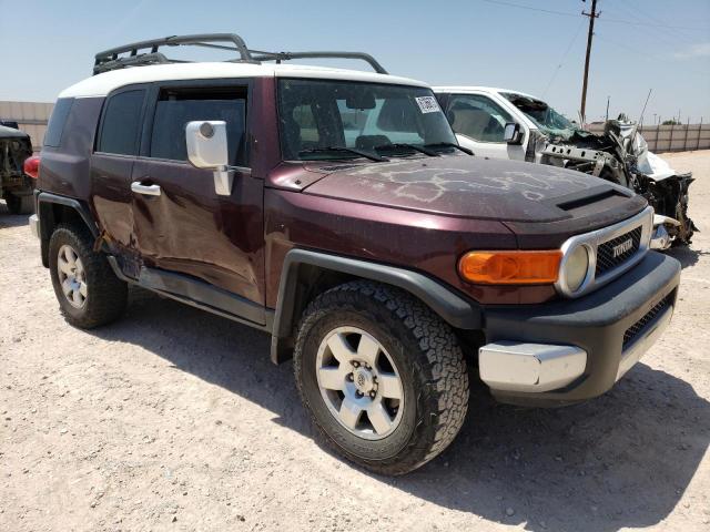 JTEZU11F270016016 - 2007 TOYOTA FJ CRUISER PURPLE photo 4