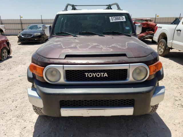 JTEZU11F270016016 - 2007 TOYOTA FJ CRUISER PURPLE photo 5