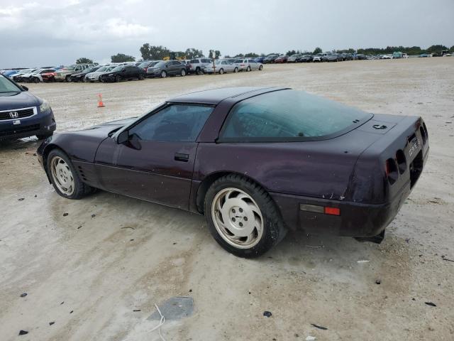 1G1YY22P3R5103522 - 1994 CHEVROLET CORVETTE PURPLE photo 2