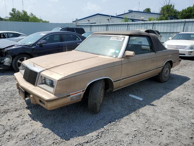 1C3BC55G3DG175606 - 1983 CHRYSLER LEBARON 金色 照片 1