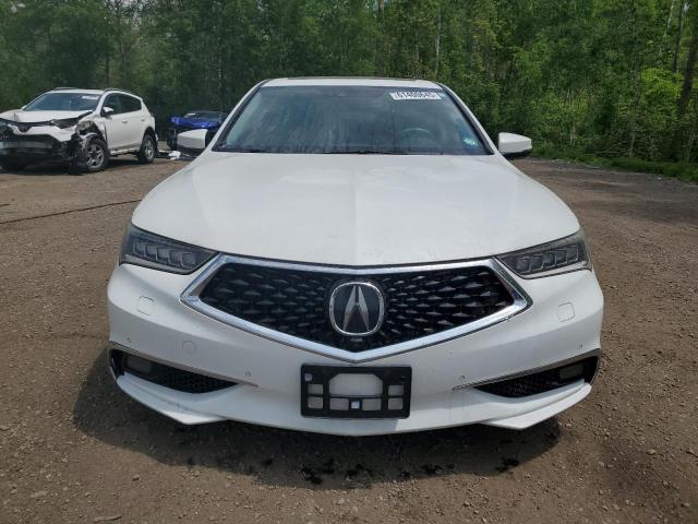 19UUB3F79JA800276 - 2018 ACURA TLX ADVANCE 白色 照片 5