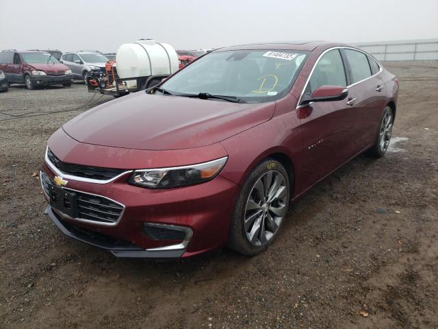 1G1ZH5SXXGF218003 - 2016 CHEVROLET MALIBU PREMIER MAROON photo 2