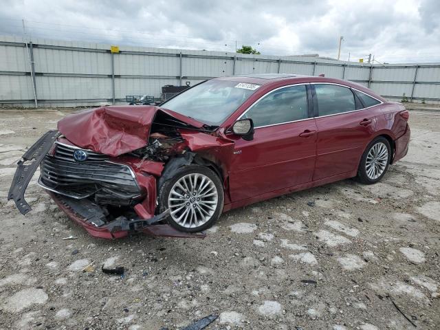 2019 TOYOTA AVALON XLE, null