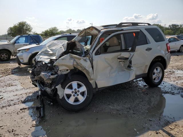 2009 FORD ESCAPE XLT, 