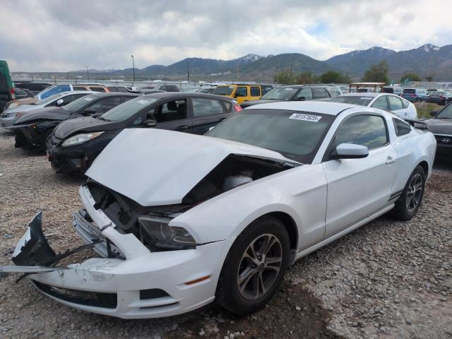 2014 FORD MUSTANG, null